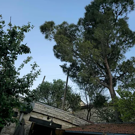 Οίκος Λόφου-oikos Lofou Σπίτι διακοπών Λόφου