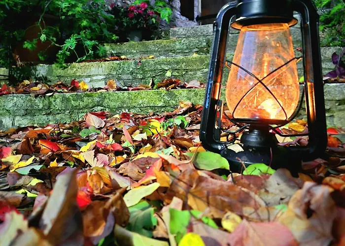 Οίκος Λόφου-oikos Lofou Σπίτι διακοπών