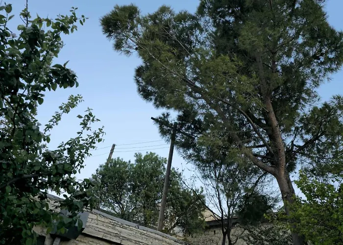 οίκος λόφου-oikos Ferienhaus Lofou